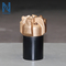 6 Inch PDC Well Drilling Bit Stinger Polycrystalline Button Bits Rock Drilling